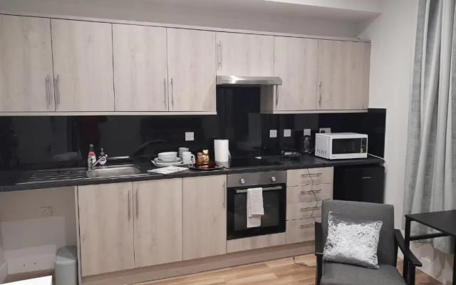 Entire Studio apartment - London