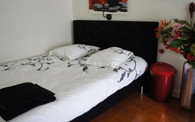 Rive Gauche Comfortable