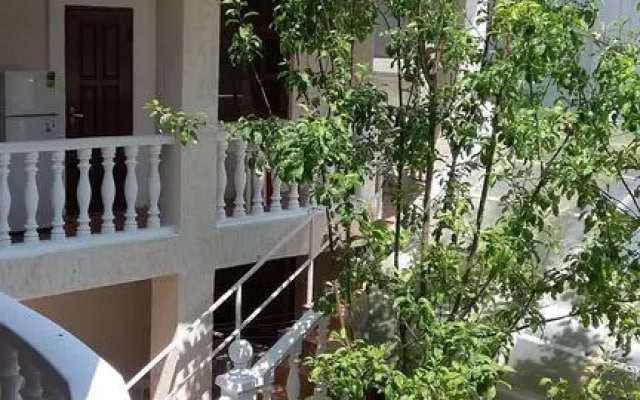 Olga Guest House