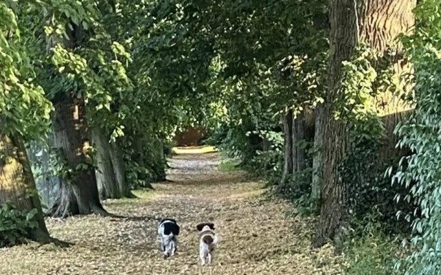 Self Contained, 2 Person dog Friendly Apartment. Free Parking