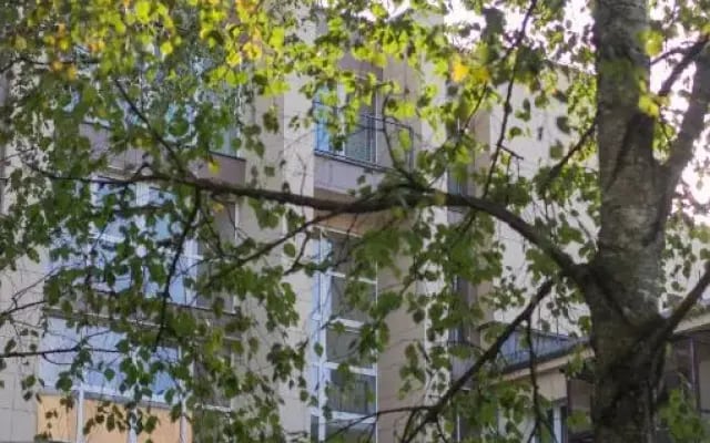 Park apartment