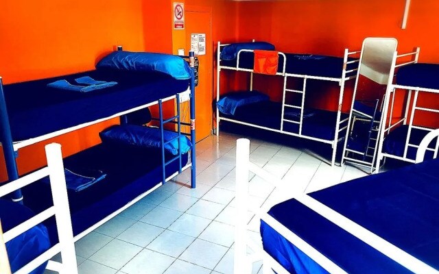 Larios Cool Hostel