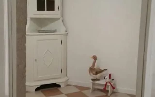 Appartamento Romantico