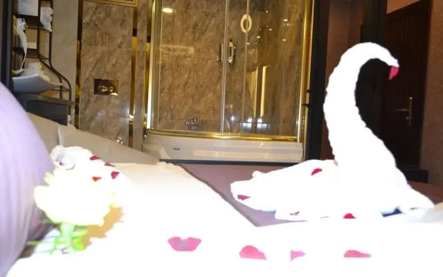Gumus Palace Hotel