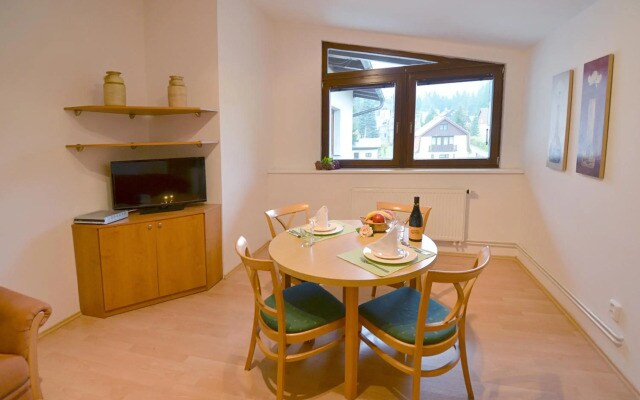 Apartement Hrebenka