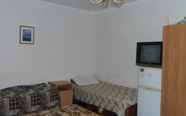 Hostel na Michurina