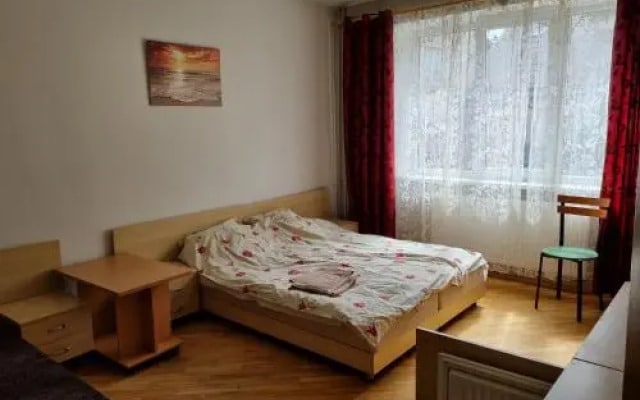 LivingPalanga Meta1