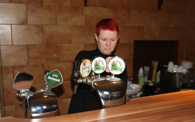 Hotel Bor