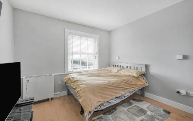 Studio 169 London