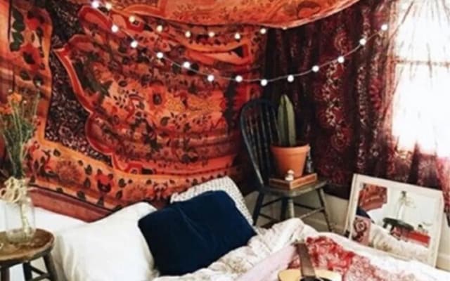 The Urban Jungle Hostel