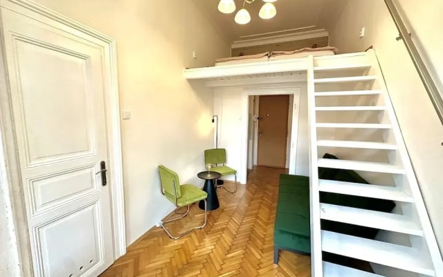 Apartment Siroka 14