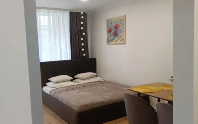 Dariaus ir Girėno 6 Apartments