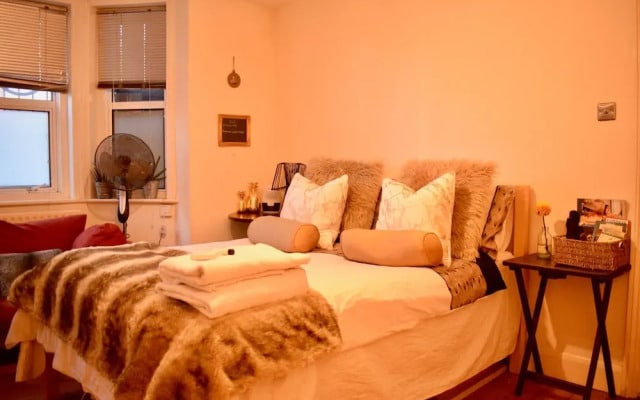 2 Bedroom Flat in Central London With a Garden