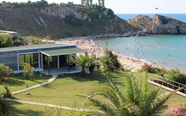 Palm Beach Şi̇le