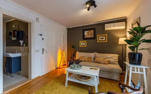 Splendid Flat With Terrace Near Istiklal Street