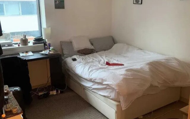 Modern 3 Bedroom Apartment in Paddington