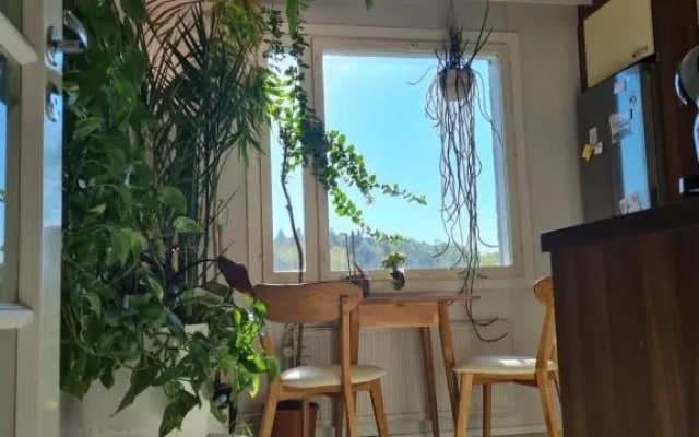 Paradise apartment