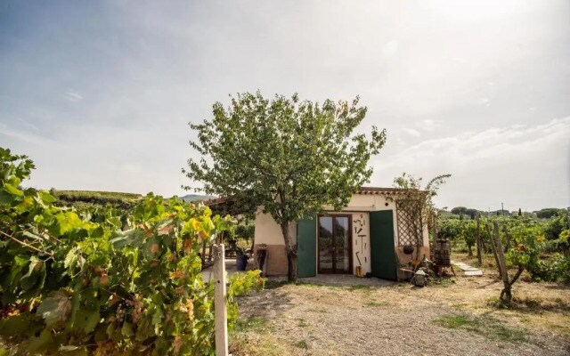 Un' Ottima Annata - La casa nel vigneto