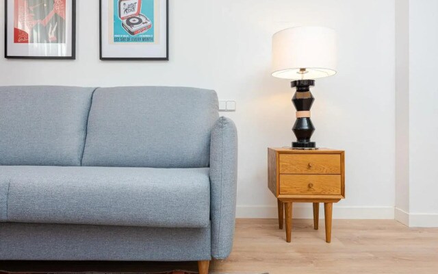 Francisco Remiro Fabulous Furnished Apartments in Guindalera
