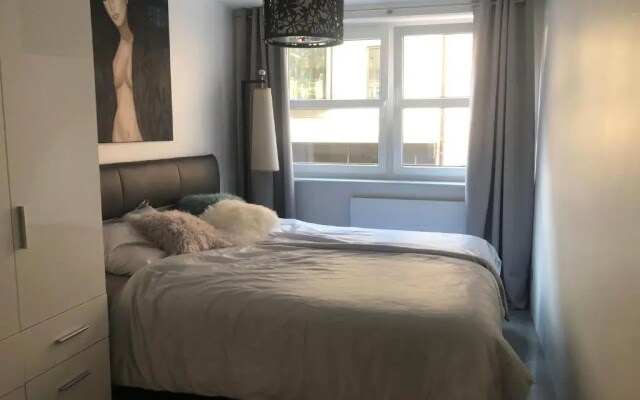 Luxurious 2 Bedroom Apartment Old City