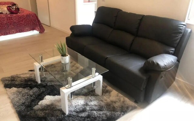 Apartment in Sol
