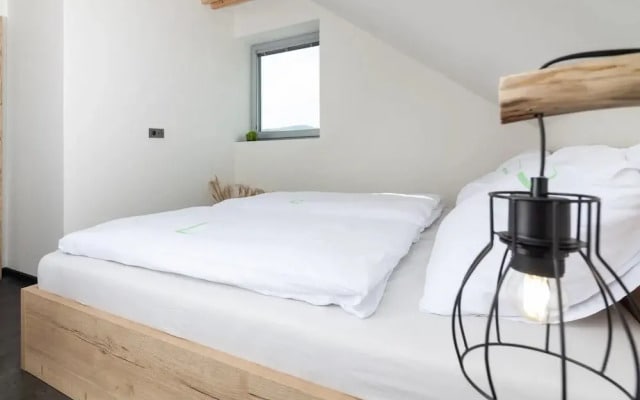 Apartment in Moravia Near Ostrava Town
