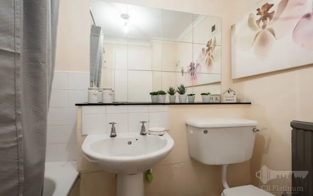 Platinum Apartments near Chancery Lane