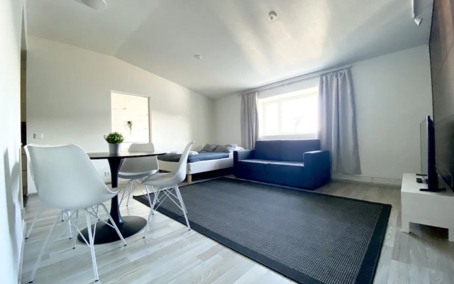 City Home Finland Penthouse