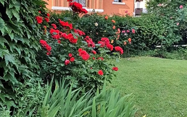 Villa romantique