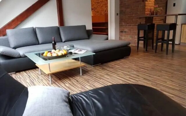 Old Town Apartment Spilberk by goodnite cz