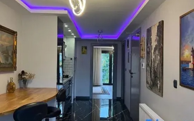 Stylish Apartment with Bosphorus View