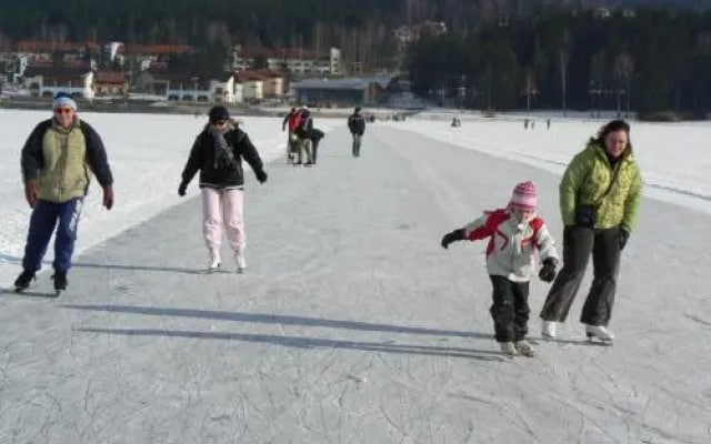 Myši V Botě Lipno