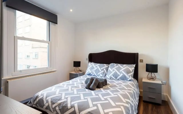 Stunning Hyde Park Apartment SS3