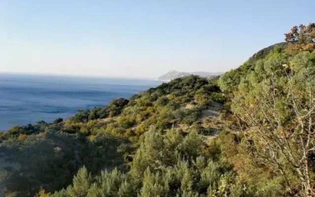 Diana Hotel