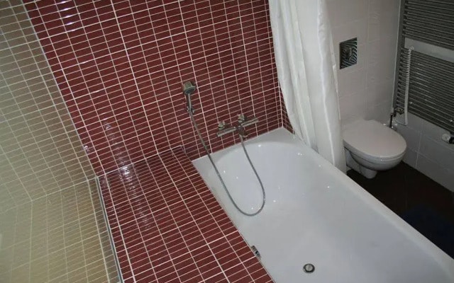 Apartment Balbínova