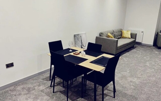 Spacious Urban City Apartment