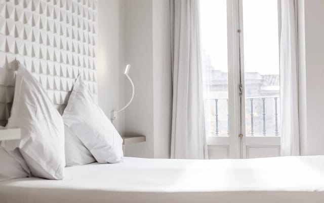 Hotel Chic And Basic