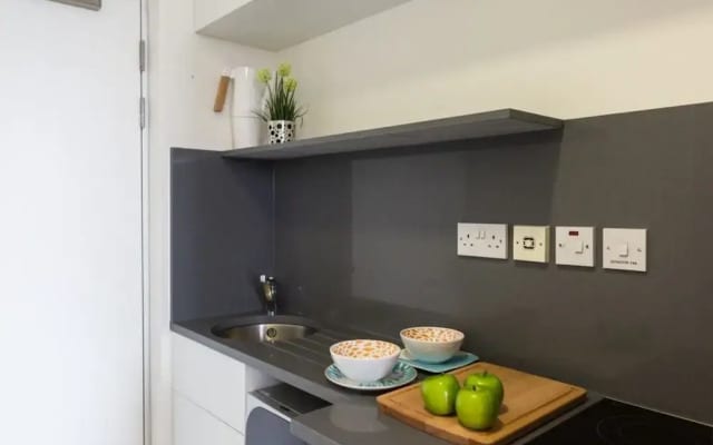 Student Only, Luxury Studio at King's Cross