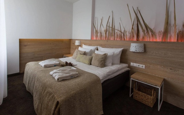 SPA VILNIUS Друскининкай