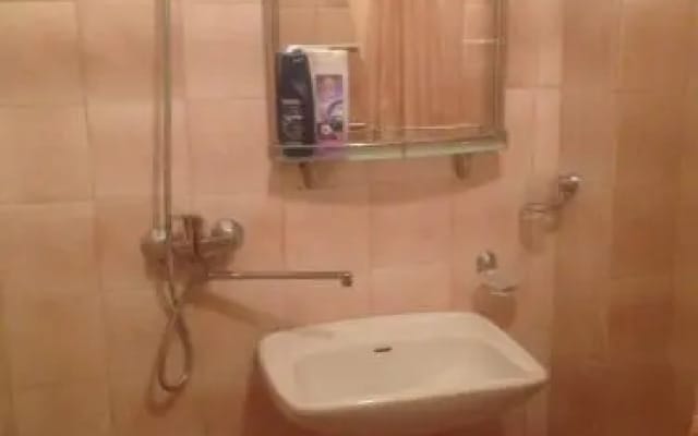 Виолетта на Ленина