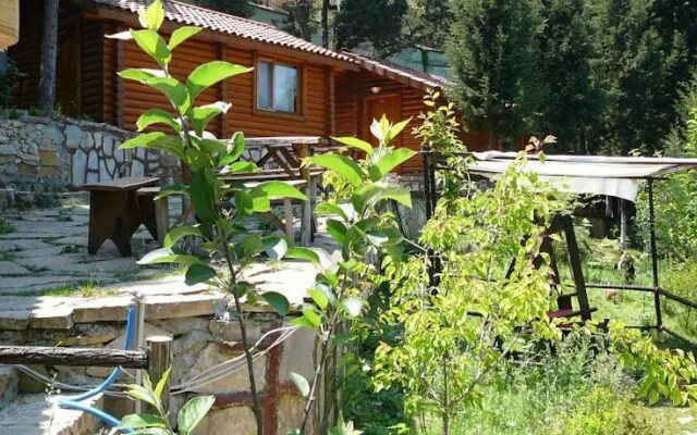 Forest Lodge