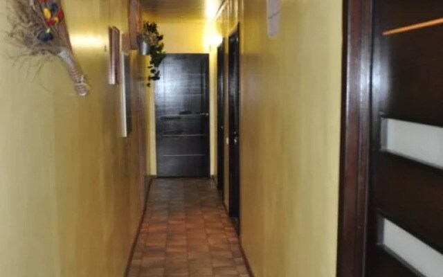Hostel Krovatka