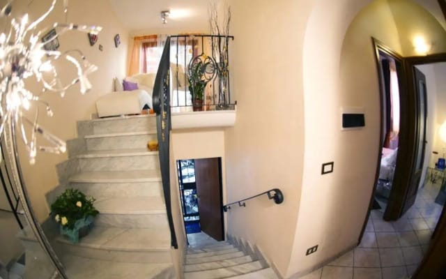 Luxury Domus