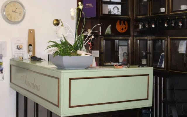 Hotel Amadeus