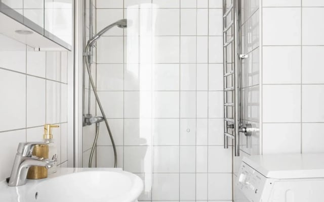 Nordic studio in trendy area