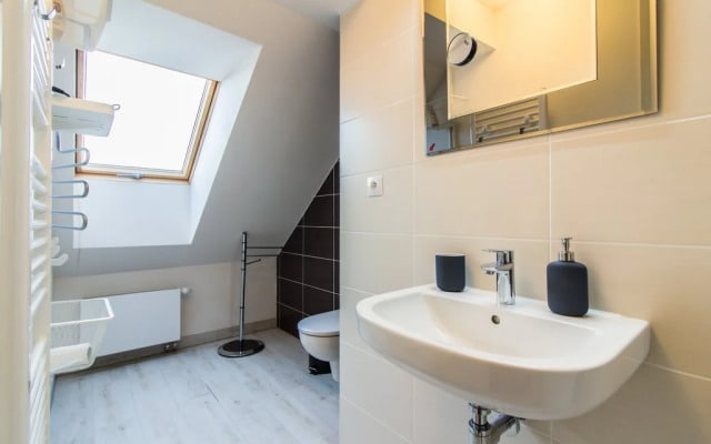 Krizikova Apartment Prague 8