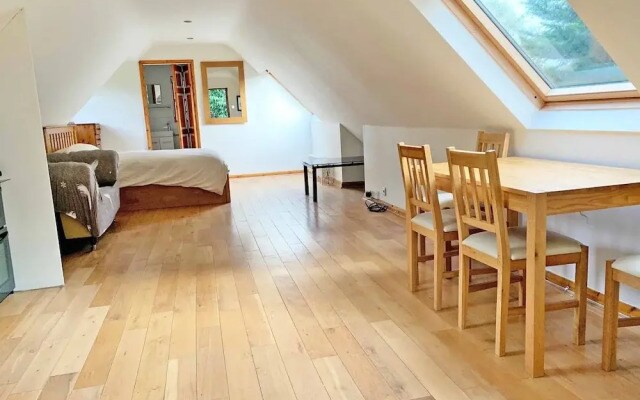 The forest wooden Flat