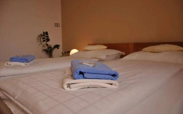 Hotel Lions Plzen