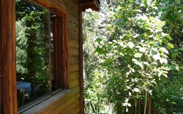 Forest Lodge
