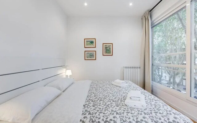 Giulio Cesare Luxury Apartment